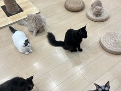 -石家庄万象城