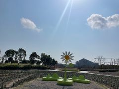 -春花秋色城市公园