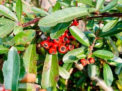-重庆云阳龙缸景区