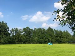 -金谷域澳洲庄园