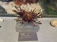 -中国（海南）南海博物馆