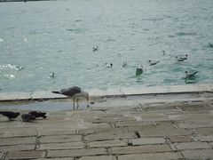 -圣马尔谷圣殿宗主教座堂