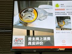 -御宝贝·A梦猫科宠物医院(国际猫友好医院)