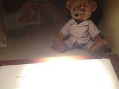 iphone_upload_pic-济州岛泰迪熊博物馆