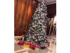 -香港尖沙咀凯悦酒店