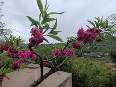 -正宗火盆自助烧烤·烤全羊·柴火鸡(龙泉山店)