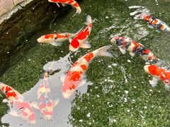 -嘉悦汗蒸时代(曙光路店)