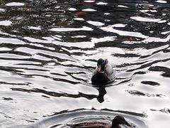 -水磨沟公园