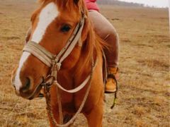 -塞罕坝国家级自然保护区