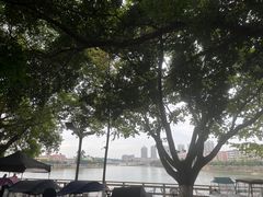 -平安桥张氏肥肠粉