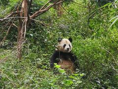 景点-碧峰峡风景区