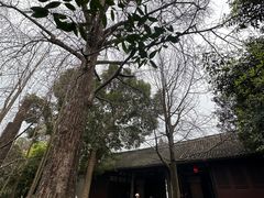 -三苏祠
