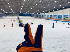 -绍兴启迪乔波冰雪世界