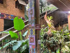 -西双版纳原始森林公园