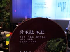 -孙毛肚火锅(春熙路店)