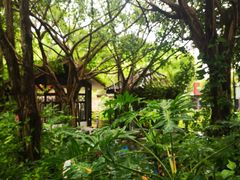 -嘉和K6温泉微度假