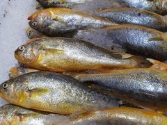 -盒马鲜生(大行宫店)