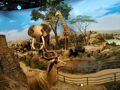 -陕西自然博物馆