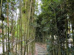 -夏河溪乡野公园