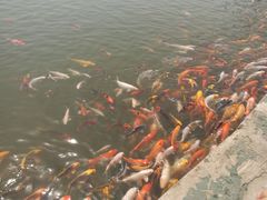 -北戴河圣蓝海洋公园