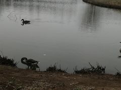 -西安浐灞国家湿地公园