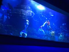 -多彩贵州城极地海洋世界