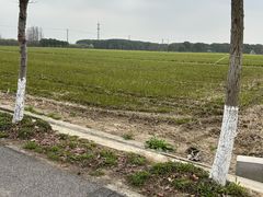 -嘉北郊野公园
