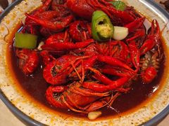 -杨氏青龙虾·羊蝎子(珠江路店)