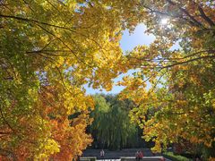 -元大都城垣遗址公园