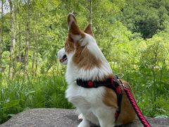 -玉渡山自然风景区