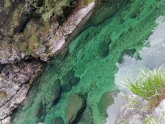 -石台牯牛降景区