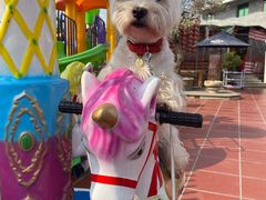 门面-柴火灶·传统莆田菜·农家乐(莆田总店)