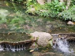 -广州市白云山风景名胜区