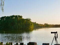 -大兴滨河森林公园