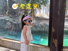 -灵玲国际马戏城