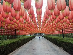 -大槐树寻根祭祖园