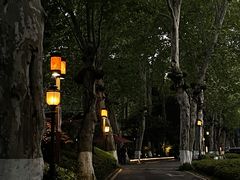 -东湖落雁景区