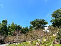 -广州市帽峰山景区