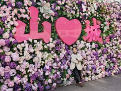 -重庆十八梯传统风貌区