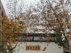 -南宋御街