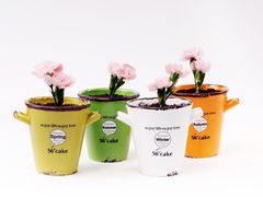 -托斯卡纳烘焙意大利餐厅(五天地店)