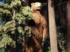 -陕西自然博物馆