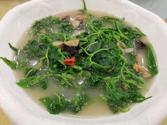 上汤桑叶-姚林轩