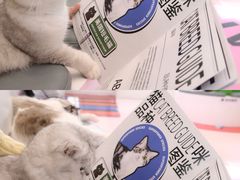 -福田卓悦INTOWN购物中心