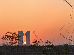 -春花秋色城市公园