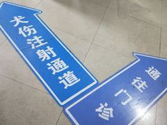 -上海市松江区中心医院