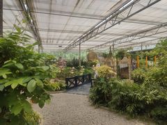 -南宫五洲植物乐园