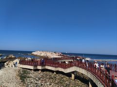 -养马岛旅游度假区