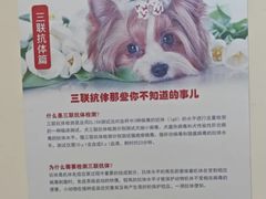 -艾贝尔宠物医院 ·内科全科(梁溪路店)