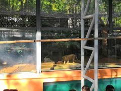 -清迈夜间动物园